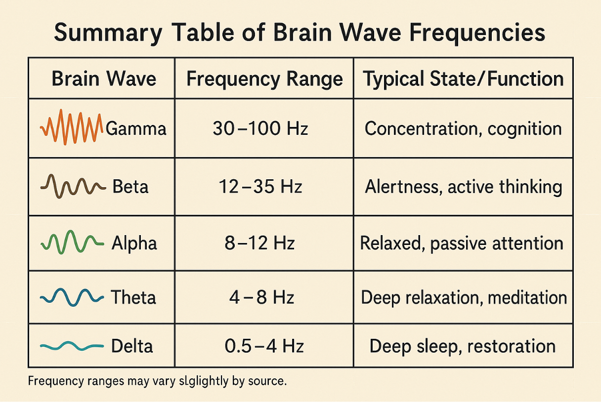 Human Brain Waves Diagram